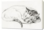 Obraz 70x50cm Śpiący Kot 2, Jean Bernard Vintage do Salonu