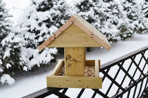 ECO Karmnik Dla Ptaków XXL+ DREWNIANY Solidny DIY Łatwy Montaż BUDKA na Arena.pl