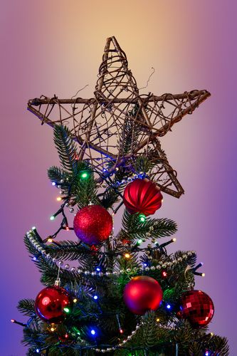 Choinka Świerk Leśny 220cm na Arena.pl