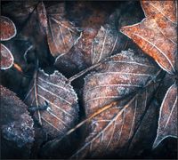 Tło do fotografii produktowej kulinarnej Flat Lay