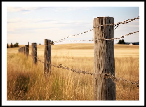 Plakat 84x59,5cm Płot na Polu na Arena.pl