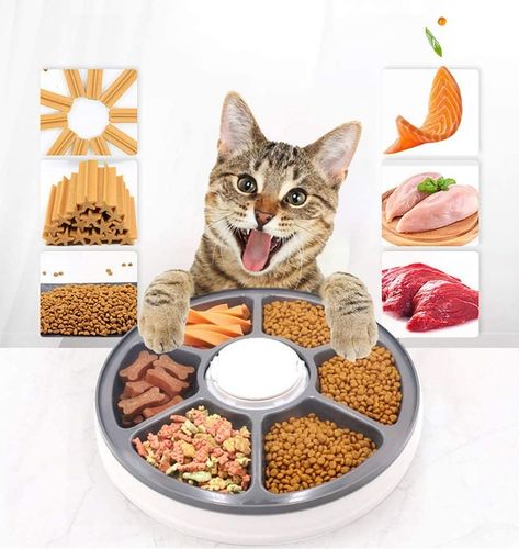 PODAJNIK DOZOWNIK KARMY AUTOMATYCZNY CZASOWY DLA PSA KOTA MISKA na Arena.pl