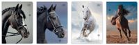 ZESZYT A5 32 # UV WILD HORSES INTERDRUK