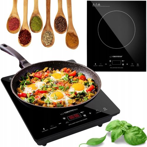 KUCHENKA INDUKCYJNA JEDNOPALNIKOWA EKH009 VESUVIUS ESPERANZA na Arena.pl