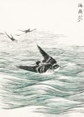 Plakat 20,5x28,4cm Riu Kiu House Swallow, Kashu Japoński Vintage