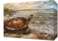 product-compare-59510349