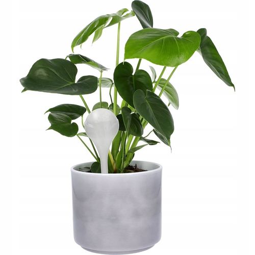 KULE NAWADNIAJĄCE DO KWIATÓW ROŚLIN DONICZEK DOZOWNIK WODY ZESTAW 8szt na Arena.pl