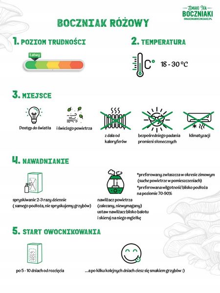 Grzybnia do uprawy domowej boczniak różowy zdjęcie 8