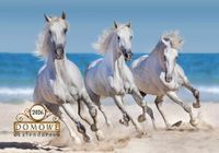 KALENDARZ DOMOWY 2026 TW-10-6 KONIE