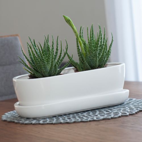 Kaktusiarka Ceramiczna 27cm doniczka biała eco na Arena.pl