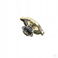 Korek Chłodnicy Case JX, XL, New Holland TD, TN, TL, TLA, TNN, 81747955N