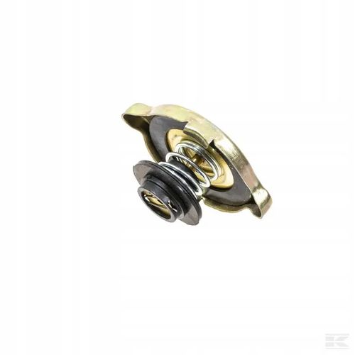 Korek Chłodnicy Case JX, XL, New Holland TD, TN, TL, TLA, TNN, 81747955N na Arena.pl