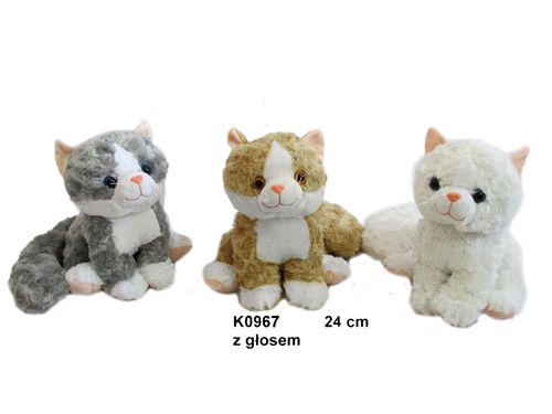 kot z dźwiękiem K0967 na Arena.pl