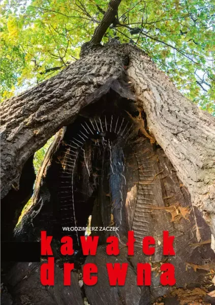 Kawałek drewna zdjęcie 1