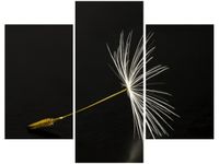 product-compare-58682177