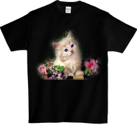 product-compare-54012807