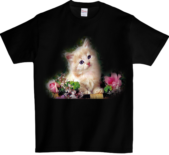 Koszulka T-shirt Kot zdjęcie 1