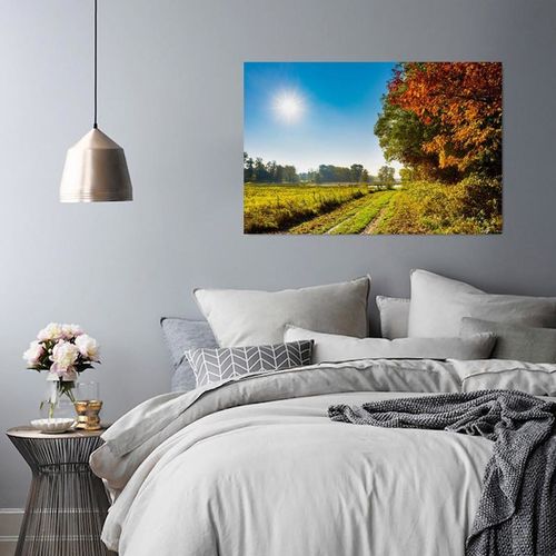 Obraz na płótnie - Canvas, Polna droga 100x70 na Arena.pl