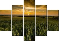 105CM 150CM OBRAZ 5 ELEM AYTON JONATHAN COMBE DRUK