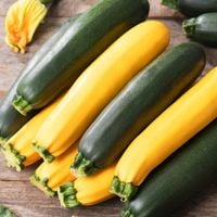 Cukinia Mix Odmian Cucurbita Różne Kolory Kształt Kwiaty 3G