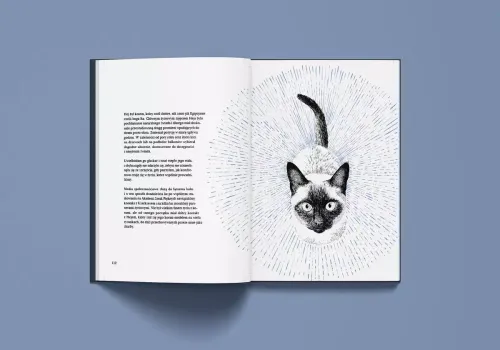 Historia pewnego kota na Arena.pl