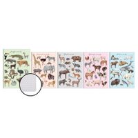 zeszyt a5 16k kratka animals okładka pp top 2000