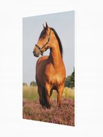 Grzejnik dekoracyjny z OBRAZEM ART6. 545x970