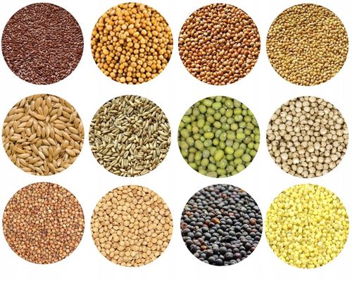 KARMA DLA PTAKÓW 10kg POKARM DROBNE ZIARNO DO KARMNIKA PTASI PRZYSMAK na Arena.pl