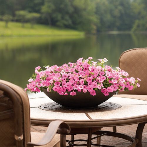 SUPERTUNIA VISTA BUBBLEGUM 6 SZTUK na Arena.pl