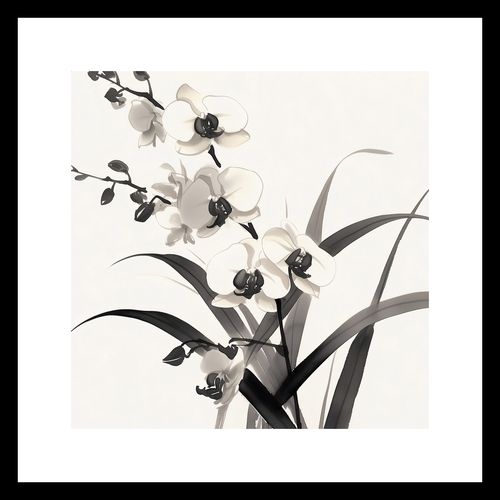 Plakat 30x30cm Orchidea na Arena.pl