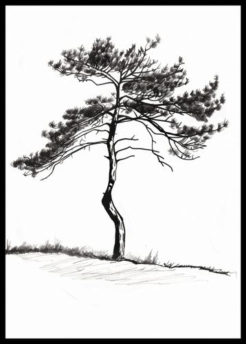 Plakat 42x59,4cm Samotna Sosna na Arena.pl