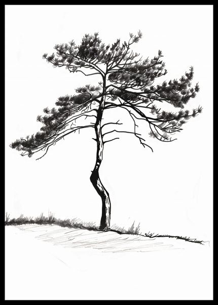 Plakat 42x59,4cm Samotna Sosna zdjęcie 2