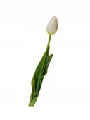 TULIPANY SILIKONOWE jak ŻYWE 40 cm TULIPAN BIAŁY