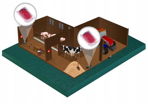 MOCNA SILNA TRUTKA NA SZCZURY MYSZY CZERWONA PASTA BROMADIOLONE NO na Arena.pl