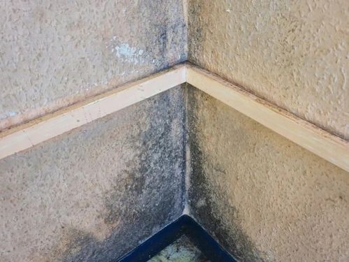 Środek pleśniobójczy - grunt do ścian Galvi Ag na Arena.pl