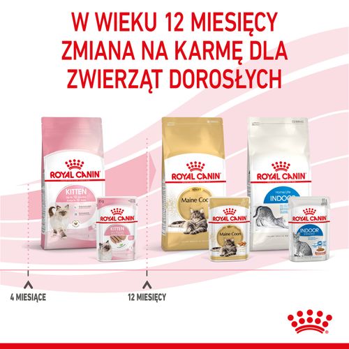 royal canin kitten pasztet 12x85g na Arena.pl