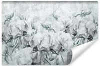 Fototapeta Do Salonu BETON Mural Kwiaty Piwonie Abstrakcja 315cm x 210cm