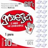 GRZEJKI OGRZEWACZE DO RĄK RĘKAWICZEK 10 par 20 szt