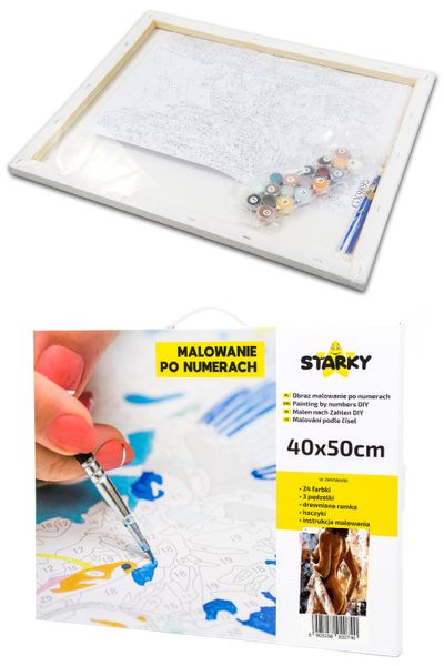 Zestaw do malowania po numerach - kobieta zdjęcie 11