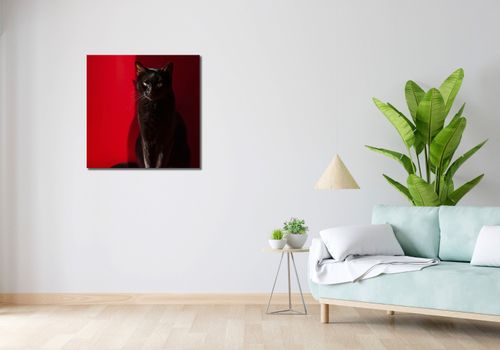 Obraz 70x70cm Elegancja w Cieniu na Arena.pl