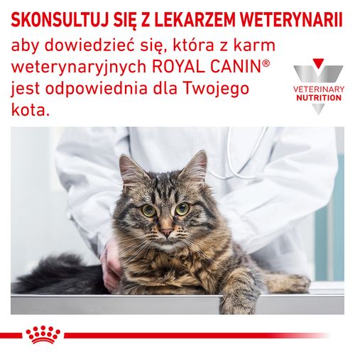 royal canin hypoallergenic 4,5kg na Arena.pl
