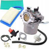 ZESTAW GAŹNIK DO BRIGGS INTEK POWERBUILT 10,5-13,5 HP 590399 799728 FILTR L