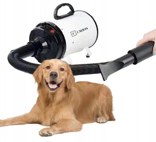 Suszarka do sierści dla psa i kota na Arena.pl