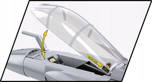 Armed Forces Dessault Rafale C na Arena.pl
