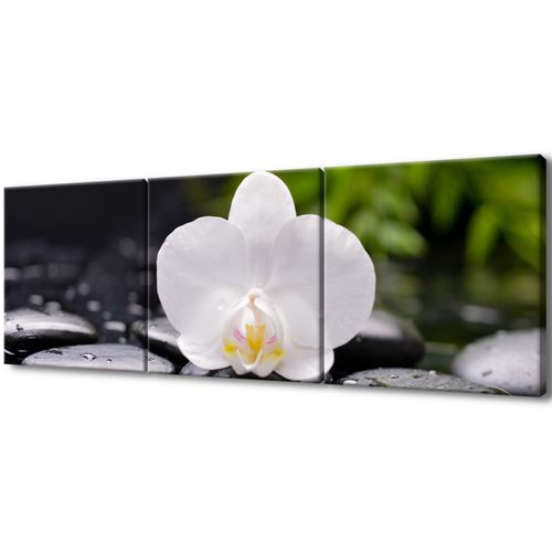 Foto-Obraz 150X50 Biała Orchidea na Arena.pl