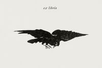 Plakat 91,5x61cm Flying Raven, Édouard Manet Vintage do Salonu