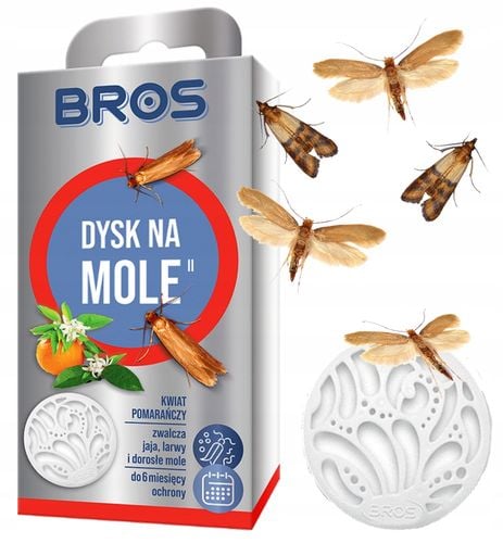 BROS - dysk na mole kwiat pomarańczy - 5 szt. na Arena.pl