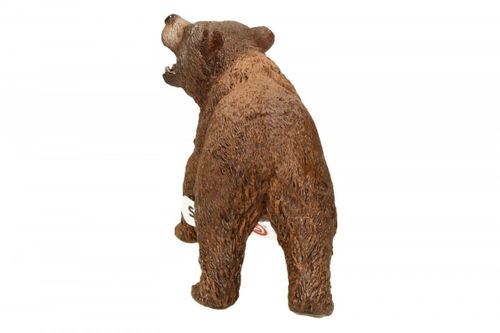 Niedzwiedź Grizzly na Arena.pl