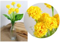 product-compare-61196314