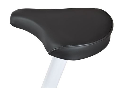 Rower stacjonarny - mechaniczny biały na Arena.pl